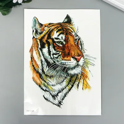 Adult tiger | Halloween animals makeup, Animal makeup, Adult face painting