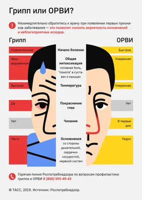 Грипп. Мифы - Государственное бюджетное учреждение «Курганская поликлиника  № 2»