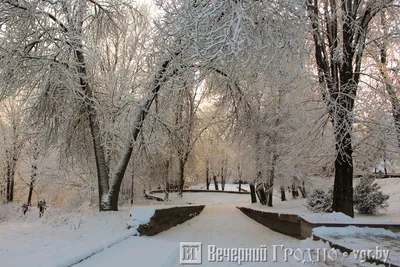 Из зимы в зиму, или новогодний Гродно • Форум Винского