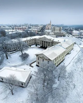 В Гродно установили главные елки на центральных площадях - 29.11.2022,  Sputnik Беларусь