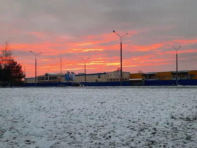 Зимний Гродно - один из красивейших городов Беларуси | Июньский кот | Дзен