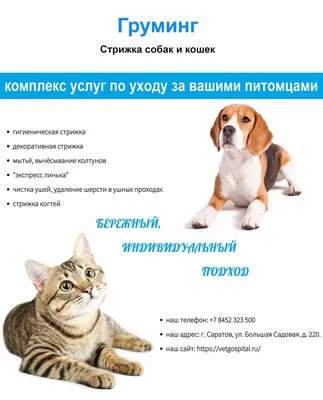 Стрижка и мытье собак и кошек в Алматы в салоне «Salon De Beaute»