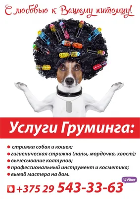 Стрижка больших собак — monpapillon.ru