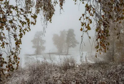 Грустная осень картинки