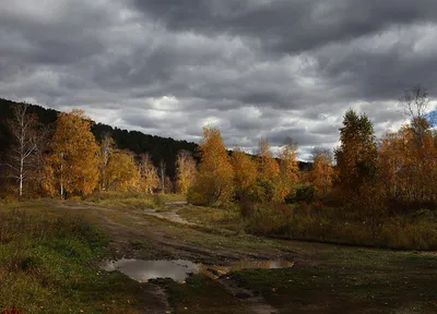 Фотография Грустная осень, автор Ольга Варванович