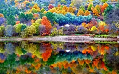 🍁Осень, осень грустная... - Прогулки по Таллинну с Ириной. | فيسبوك