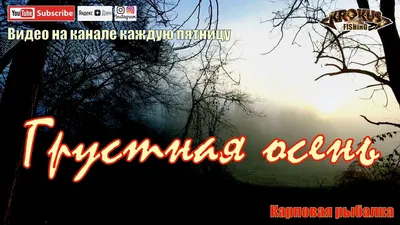 Грустная осень — Фото №213537