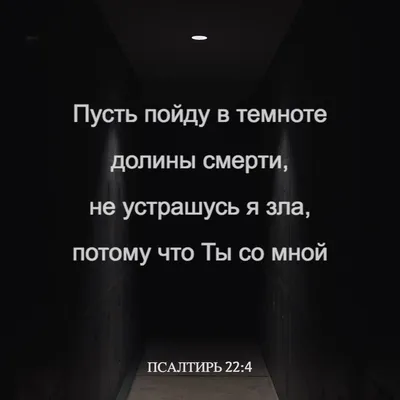 Кот и Смерть | Пикабу