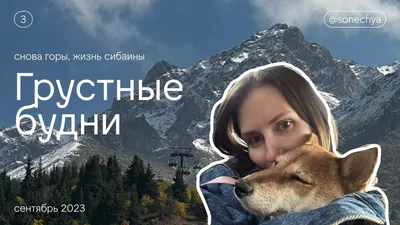 Когда уже сел за стол, и тут вспомнил грустные моменты из жизни | #мем... |  TikTok