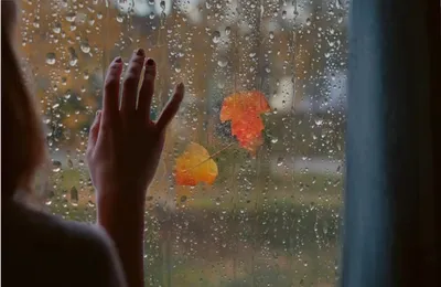 картинки : дождь, люблю, сердце, Грусть, Красный, Металл, Романтика,  Крупным планом, потерял, Слезы, Орган, Эмоции, найденный, Удача, Потеря,  капля воды, Тоска, Финансовая боль, Ревность 4896x3672 - - 821989 -  красивые картинки - PxHere