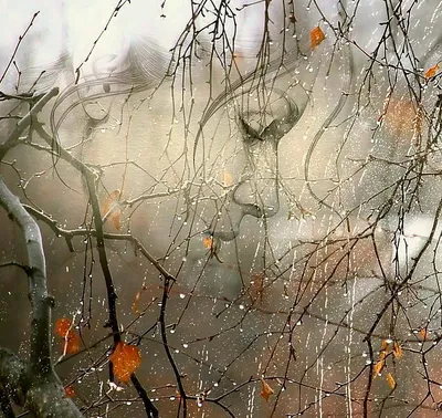 Two souls under rain by GengisTan | Пикабу