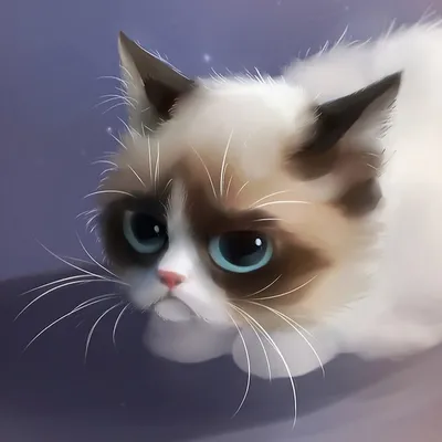 Самая грустная кошка в мире | Натали и Коты | Дзен