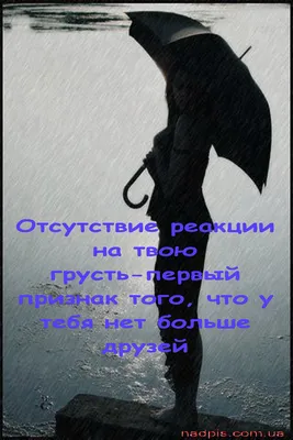 Отсутствие реакции на грусть | Картинки с надписями, прикольные картинки с  надписями для контакта от Любаши
