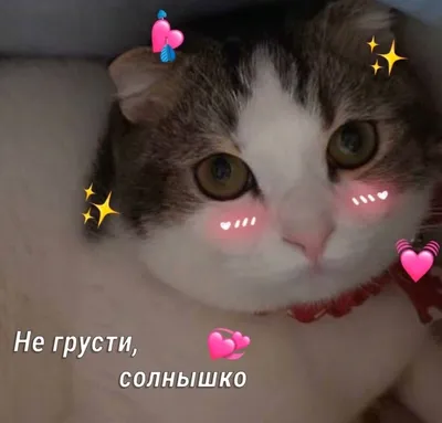 Милые пикчи не грусти - фото и картинки abrakadabra.fun