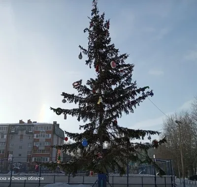 В новогодние праздники уваровский доктор радует пациентов стихами  собственного сочинения (видео) | Уваровская жизнь