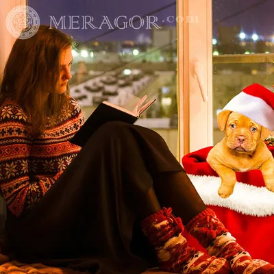 MERAGOR | Новогодние аватарки для девушек грустные