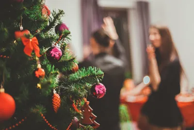30 вдохновляющих цитат, которые помогут поверить в новогоднее чудо ✨ |  theGirl