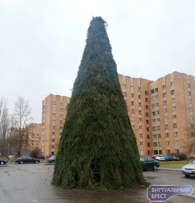 https://www.kp.ru/daily/27550/4875542/