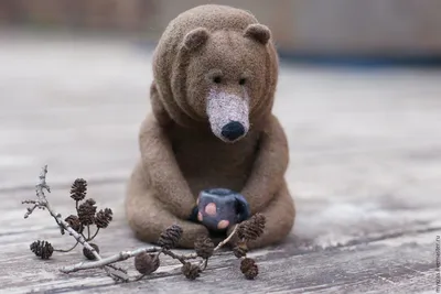 Грустный медведь на привлекательном фото в webp формате