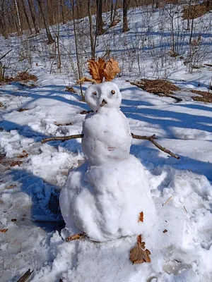 Вязунчик - Забавный и смешной снеговик Олаф ⛄️ Станет верным другом и  скрасит любой грустный день 🤗 любит жаркие объятия 😍 Рост - 17 см. Цена -  400 рублей. Связан на заказ. Для повтора заказа пишите в Директ. 😊 |  Facebook