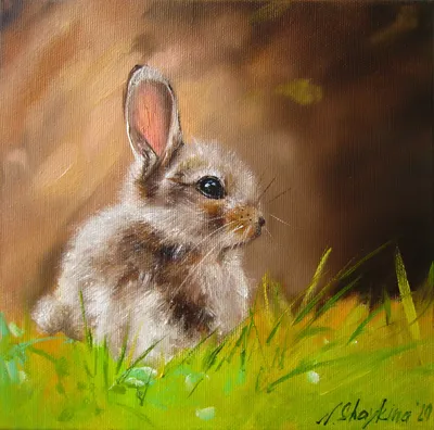 Прекрасный грустные белые и пушистые мягкие заяц Голландия сокращают  кролика кролик Стоковое Фото - изображение насчитывающей поле, пары:  214891318
