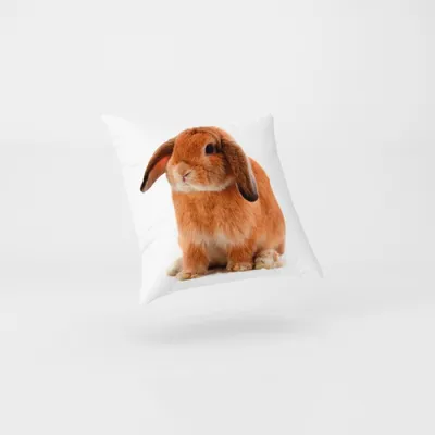 Мультяшный заяц с длинными ушами - 72 фото