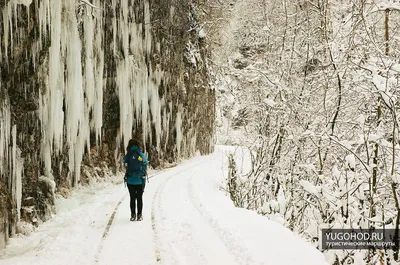 Гуамка фото зима