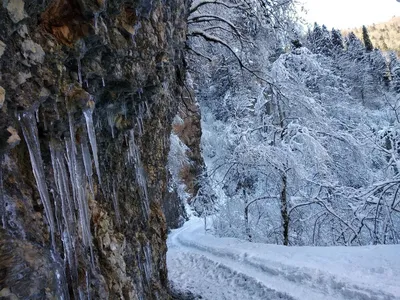 Большая медведица пансионат - Гуамка