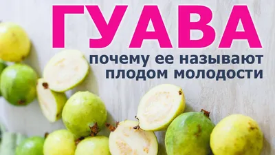 Гуава - тропический фрукт с розовой сочной мякотью, изолированной на  прозрачном фоне. | Премиум PSD Файл