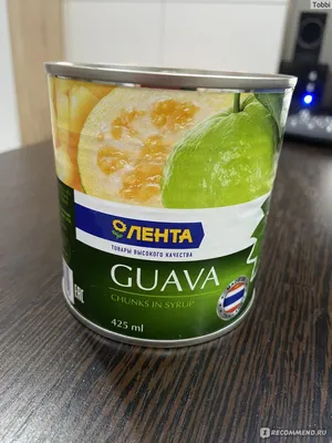 Гуава (Guava) экзотический фрукт,…» — создано в Шедевруме