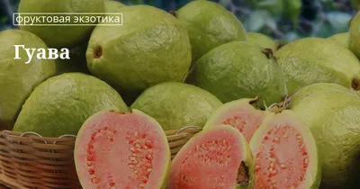 Фрукты Лента Гуава Кусочки в сиропе - «Что такое гуава и какой у нее вкус?  Лента не перестает удивлять. Экзотический фрукт.» | отзывы