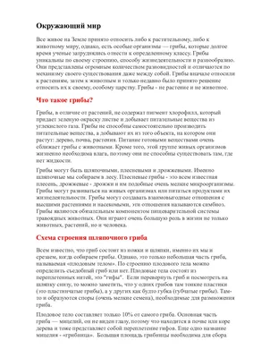 Грибной сезон: когда он начинается? Где искать какие грибы? Главное отличие  съедобных и несъедобных грибов | Всего понемногу: о медицине и вокруг неё |  Дзен