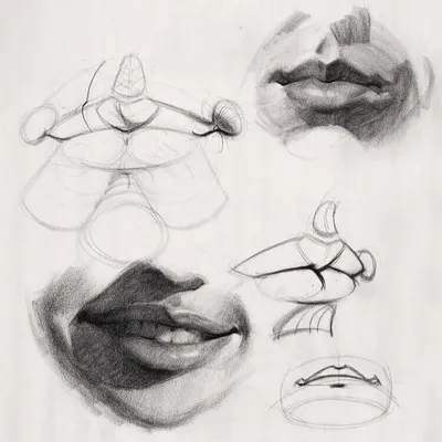 Как нарисовать рот человека карандашом поэтапно начинающим