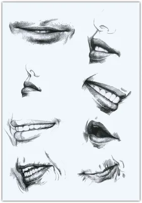 gif видео приколы приколы дня - Как нарисовать губы, чернобелые рисунки на  канале рисунки для срисовки. https://youtu.be/LFs9Z7HKYws | Facebook