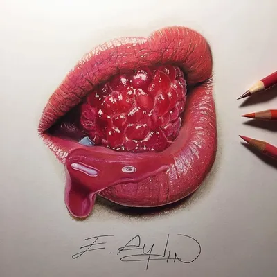 сексуальный шрамовый губы целуют розовый водокрас и линейный рисунок,  нарисованный векторной иллюстрацией Иллюстрация вектора - иллюстрации  насчитывающей состав, минимализма: 234438889