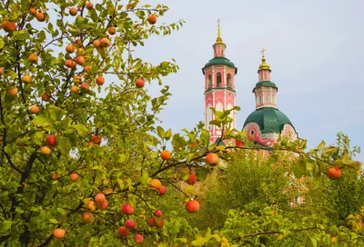 Викторина о Спасах «Яблочный Спас» - Культурный мир Башкортостана