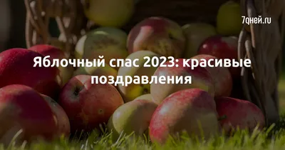 Рецепты из яблок: что приготовить на Яблочный Спас-2023