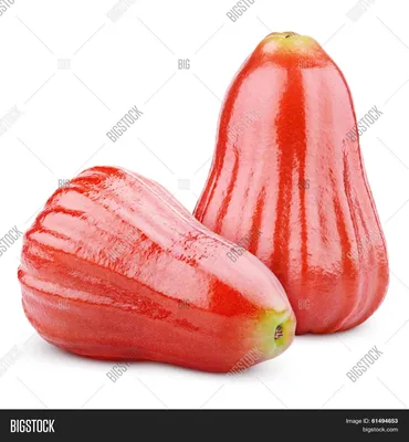 Яблоко красное внутри сорт - 70 фото