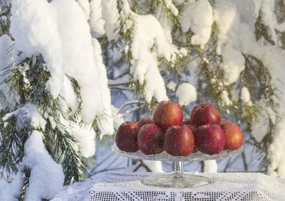 Яблоки на снегу фотографии