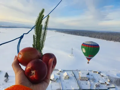 Яблоки на снегу: нежные и прекрасные изображения с пушистым фоном снега