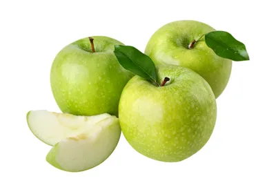 Какие сорта яблонь лучше противостоят болезням