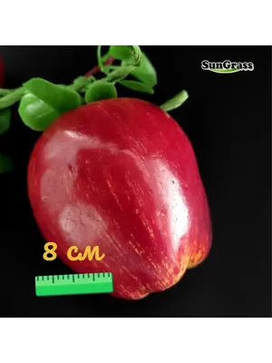 Яблоки искусственные дюшес крупные - 4 шт на ветке декор SunGrass 162226557  купить за 123 800 сум в интернет-магазине Wildberries
