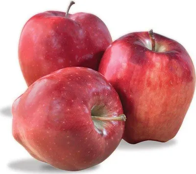 Яблоки искусственные ДЮШЕС крупные - 4 шт на ветке - купить по низкой цене  в интернет-магазине OZON (1117290100)