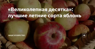 Яблоня Антоновка - Агро Сад
