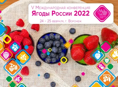 В России снизились цены на фрукты и ягоды – Новости ритейла и розничной  торговли | Retail.ru