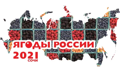 Ядовитые ягоды России. Наша «Чёртова дюжина» — Блог «Спорт-Марафон»