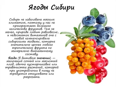 Чайный напиток Ягоды Сибири Черноплодная рябина купить в интернет-магазине  Мед-Конфитюр Москва art: 00-00010214 по выгодной цене