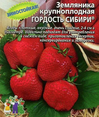 Чайный напиток Для здоровья Ягоды сибири: брусника - «Вкусный освежающий  чай с кислинкой.» | отзывы