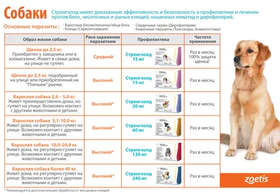 Стронгхолд для Собак 20-40 кг - Купить с Доставкой по Москве