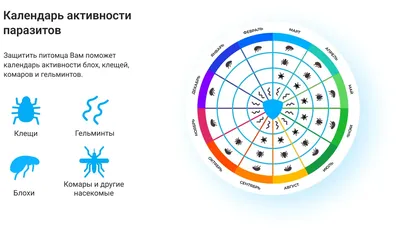 СТРОНГХОЛД - капли на холку для кошек и собак от блох, клещей и других  паразитов